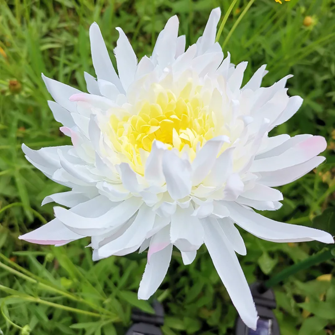 Solar Flower Lights Outdoor – Waterproof LED Garden Lights, Colorful Decorative Flowers for Yard, Patio & Walkway